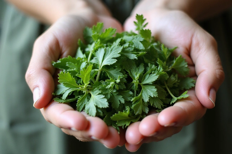 A close-up of a hand gently holding a variety of fresh, green herbs, symbolizing natural care and purity.